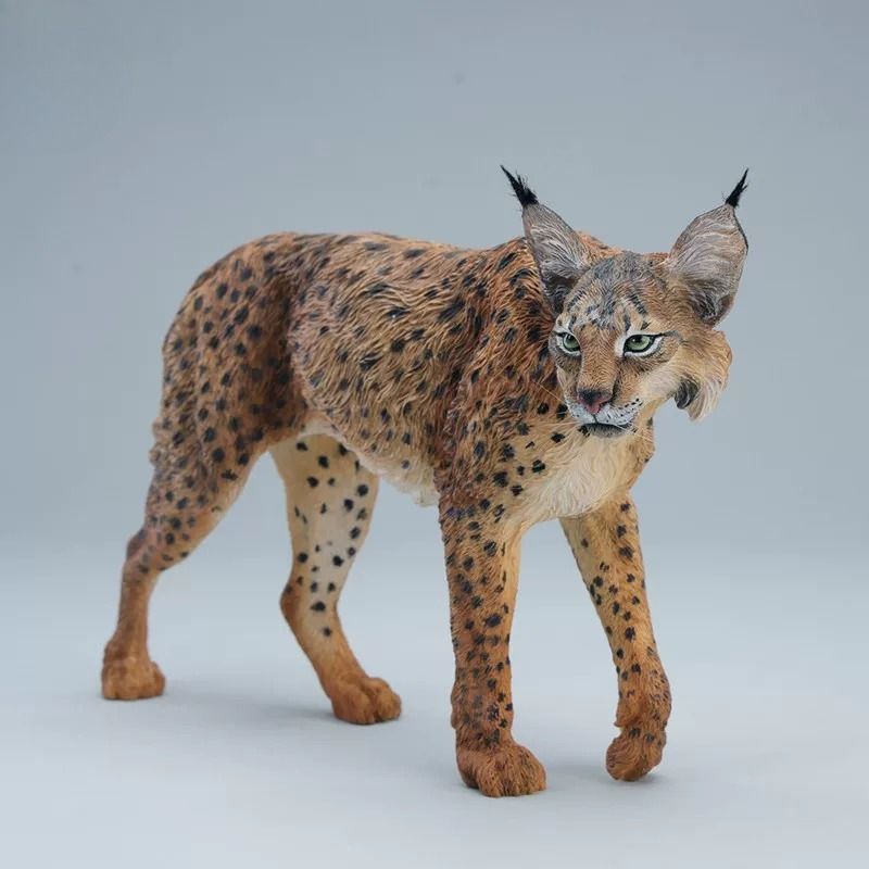 JXK361 Voorverkoop 1/6 Schaal  - Model Kit Lynx recensie en prijs